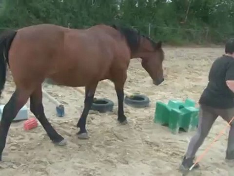 11.09.2012.i.liberte