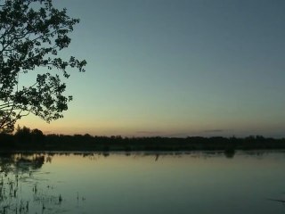 Camargue : le développement durable d'un territoire rural, un exemple innovant  au cœur du Parc naturel régional de Camargue