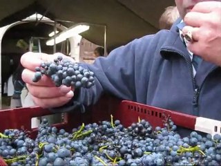 Comte Liger Belair 2012