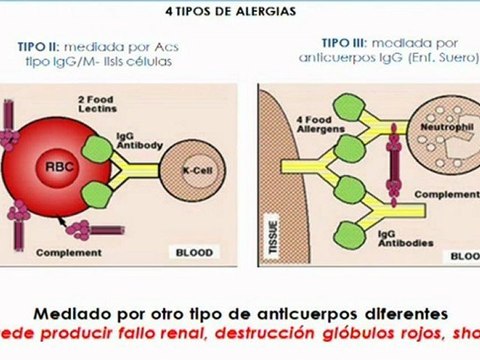 2008 Infecciones y alergias, Cursos Verano