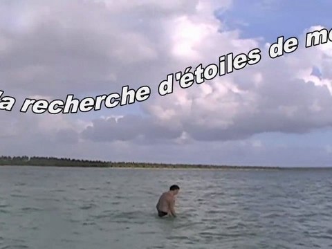 2012-caraibes plage Mano Juan ile de Saona & la piscine