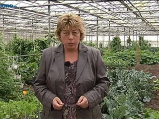 Het Weer [24-9-2012] - RTV Noord