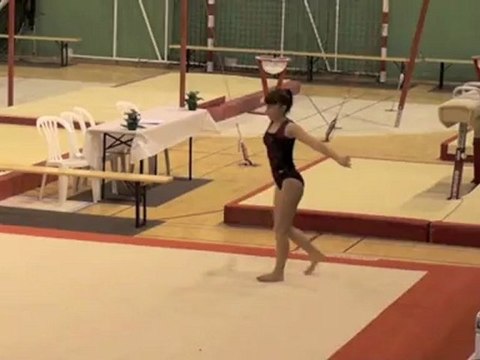 Championnat individuel de gymnastique des Yvelines 2012 à Vélizy.