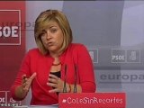 PSOE no pide una reforma constitucional 