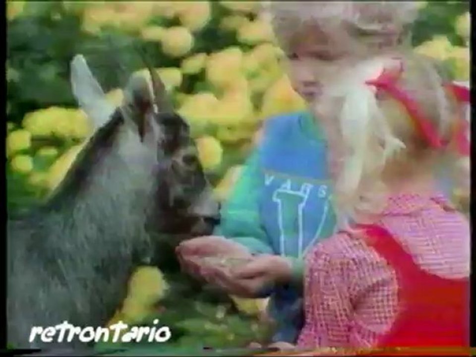 Cullen Country Barns 1986