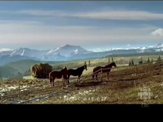 Holiday in handcuffs (2007) — Part 1