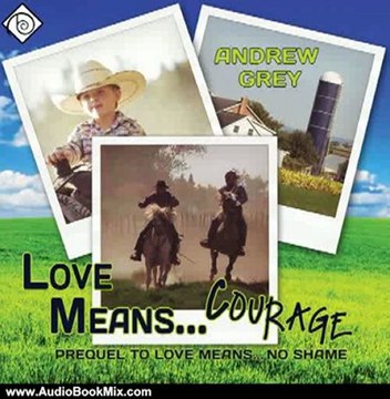 Audio Book Review: Love Means... Courage by Andrew Grey (Author), Sawyer Allerde (Narrator)