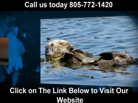 best morro bay restaurants (805) 772-1420 Otter Rock Cafe