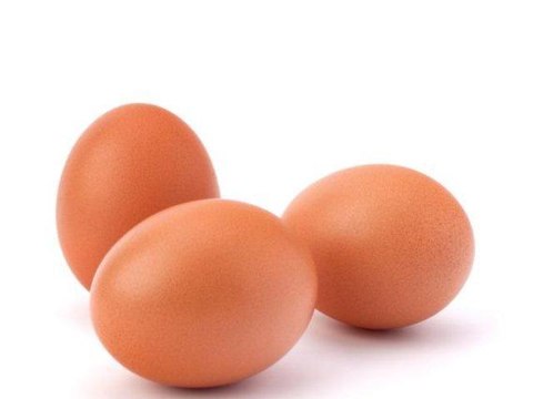 Comment savoir si un oeuf est frais ?