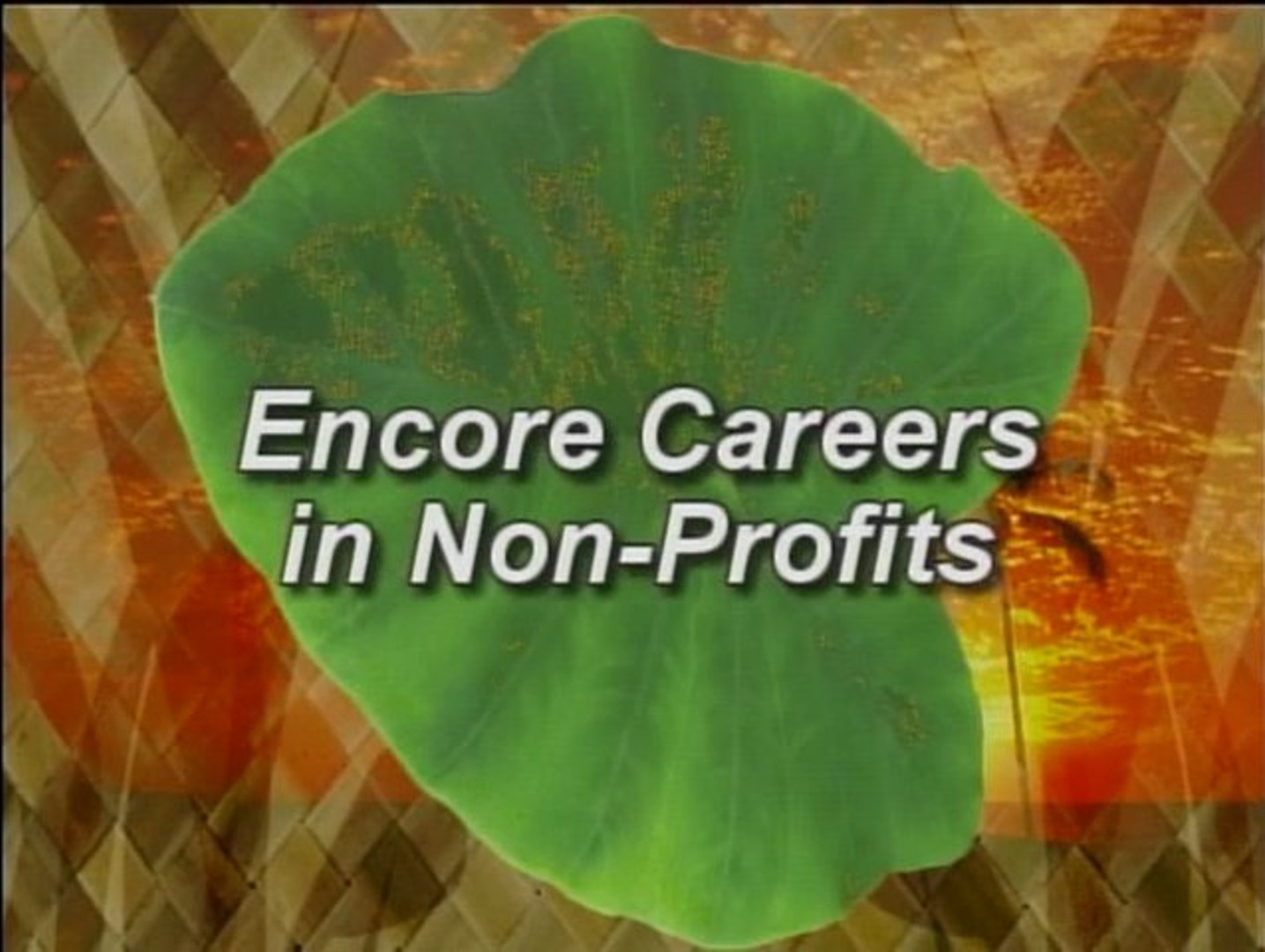 Encore Careers in Non-Profit