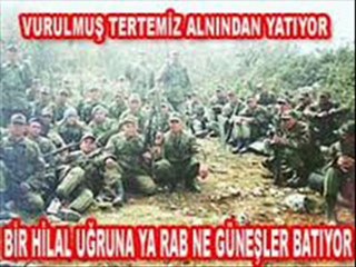 ŞEHİTLERİMİZE İTHAFEN, DAĞLARIN ASLANI