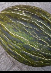 The planet of summer: Václav Kovalčík, year 2012