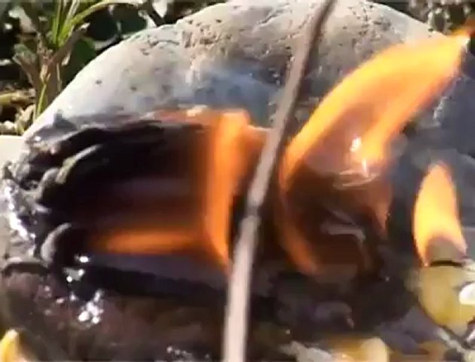 erdoğan emir - sen varsın orda