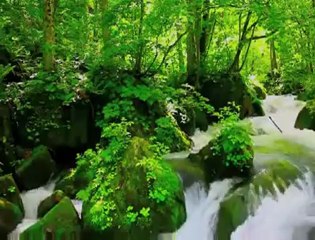 Ya İlahi Cennet Evine Girenlerden Eyle Bizi