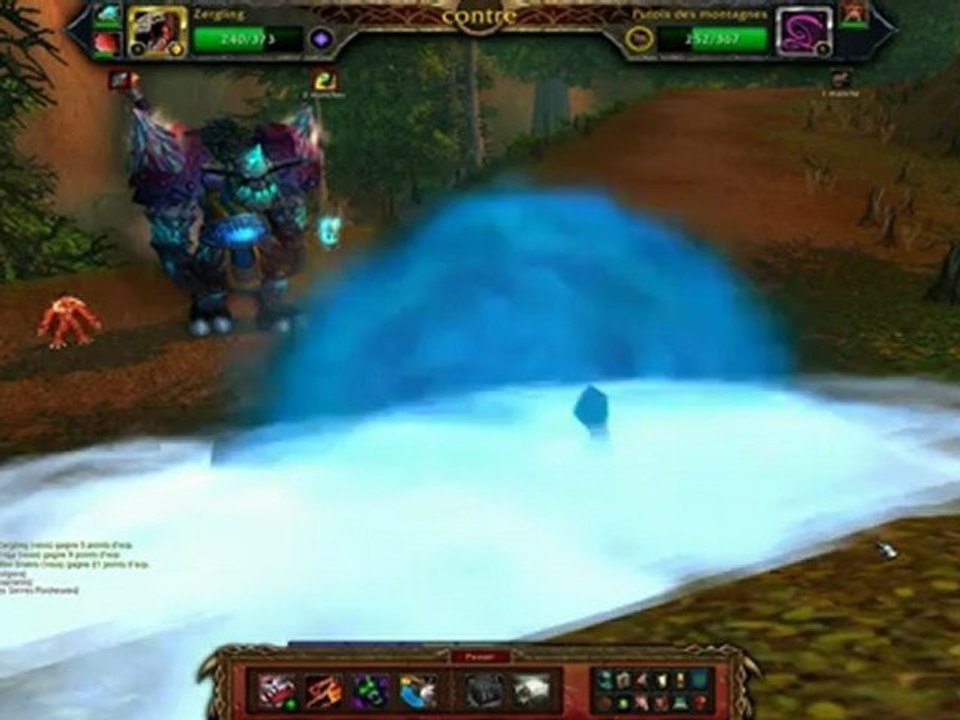 Combat Mascottes WoW