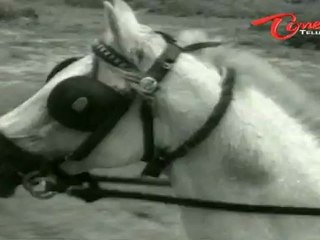 Vaagdhanam Songs - Vanne Chinnelanni - ANR - Krishna Kumari