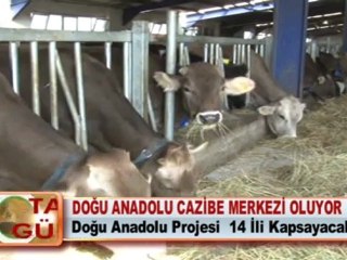 DOĞU ANADOLU CAZİBE MERKEZİ OLUYOR
