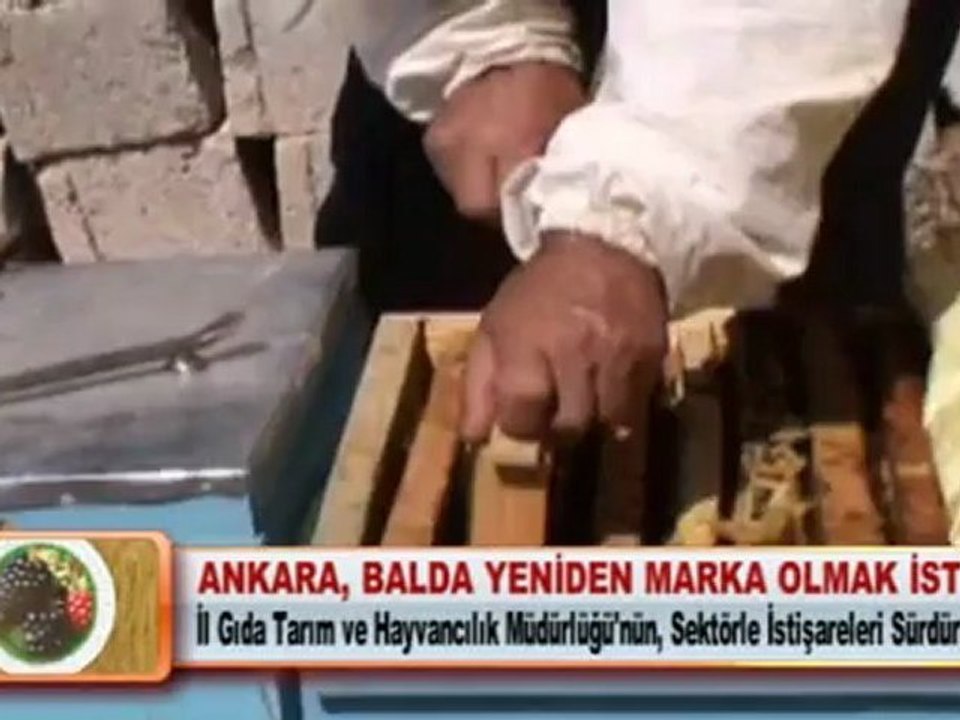 ANKARA, BALDA YENİDEN MARKA OLMAK İSTİYOR