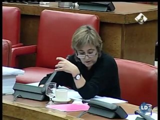 El veto del gobierno en la comisión de presupuestos