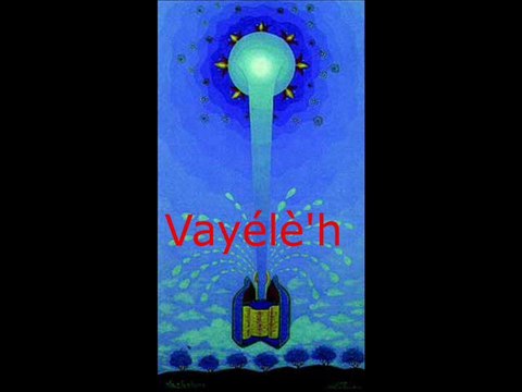 Avrham parle Torah Deaf - Vayeleh