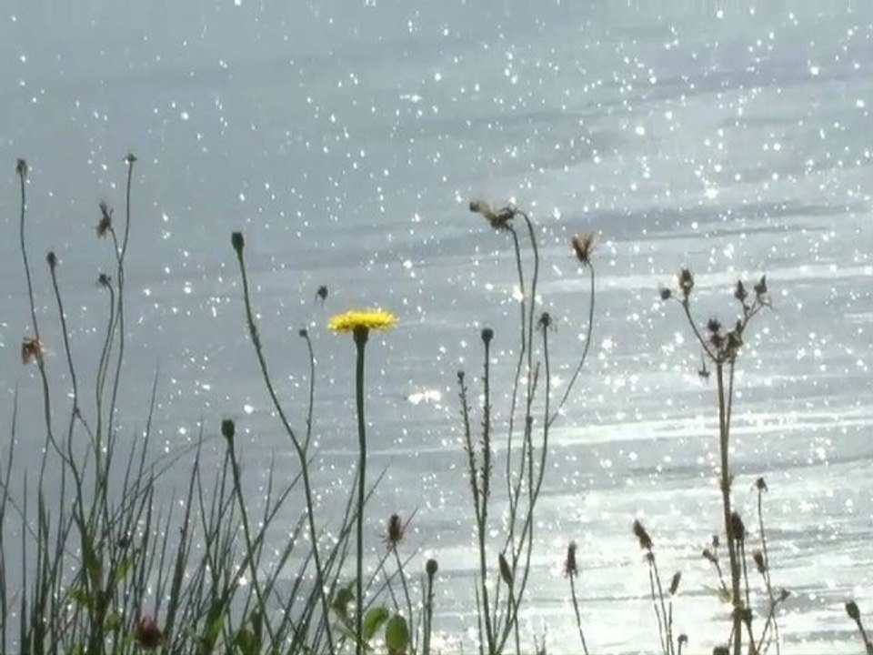 Conversation sur le rivage