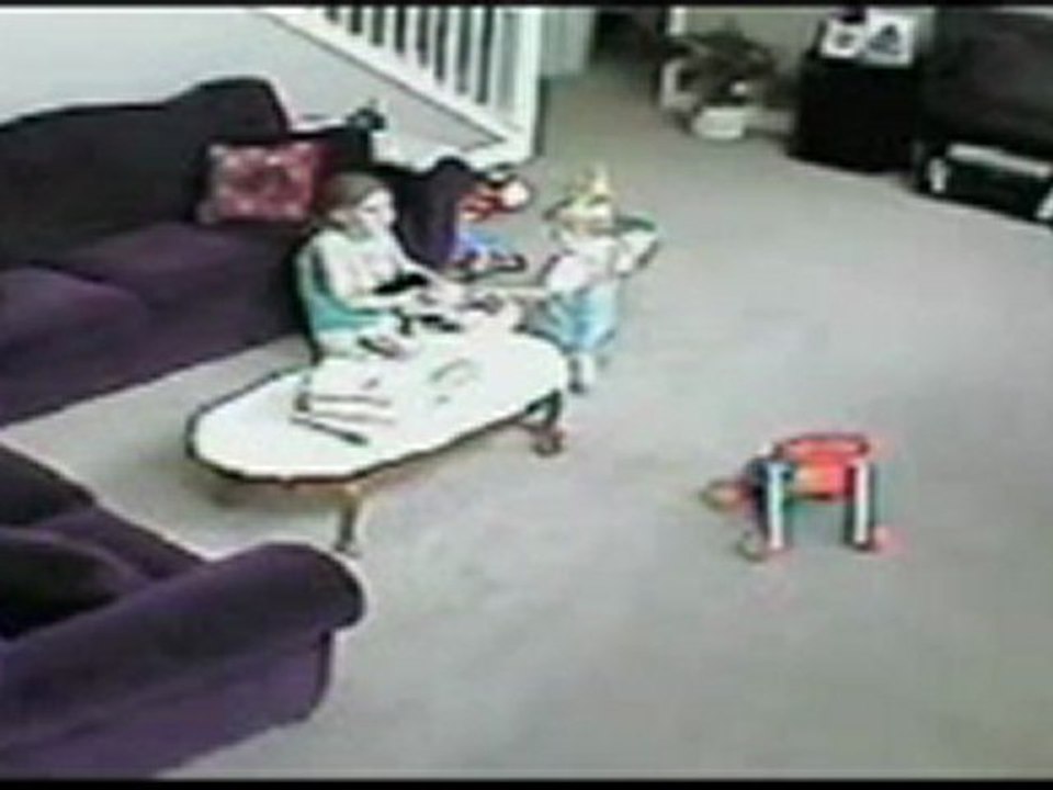 Cat Saves Child From Mom -