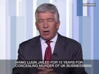 Inside Story - Notes on a Chinese Scandal