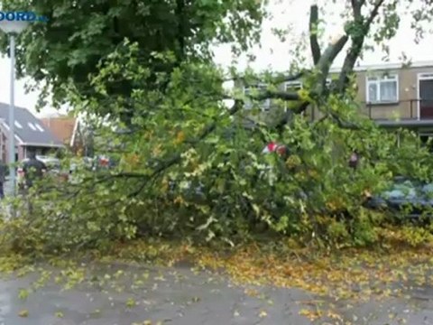 Storm zorgt voor overlast in de provincie - RTV Noord