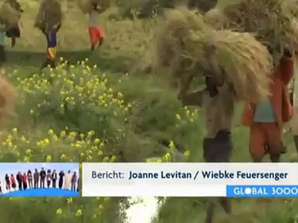 Madagaskar: Alternativer Reisanbau | Global 3000