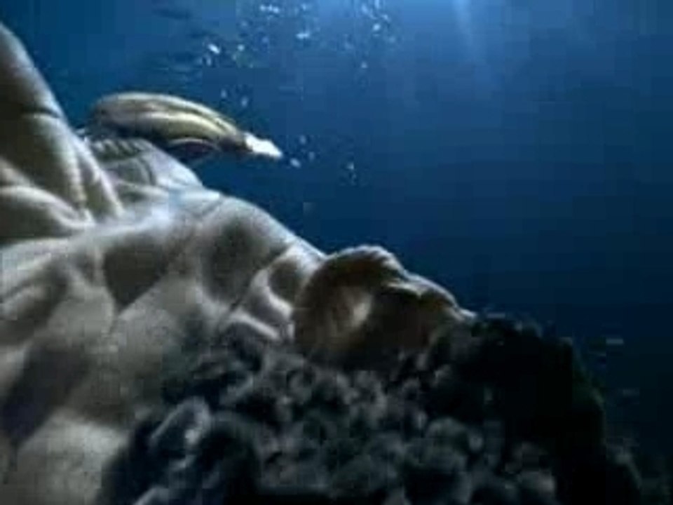 pub machine à laver