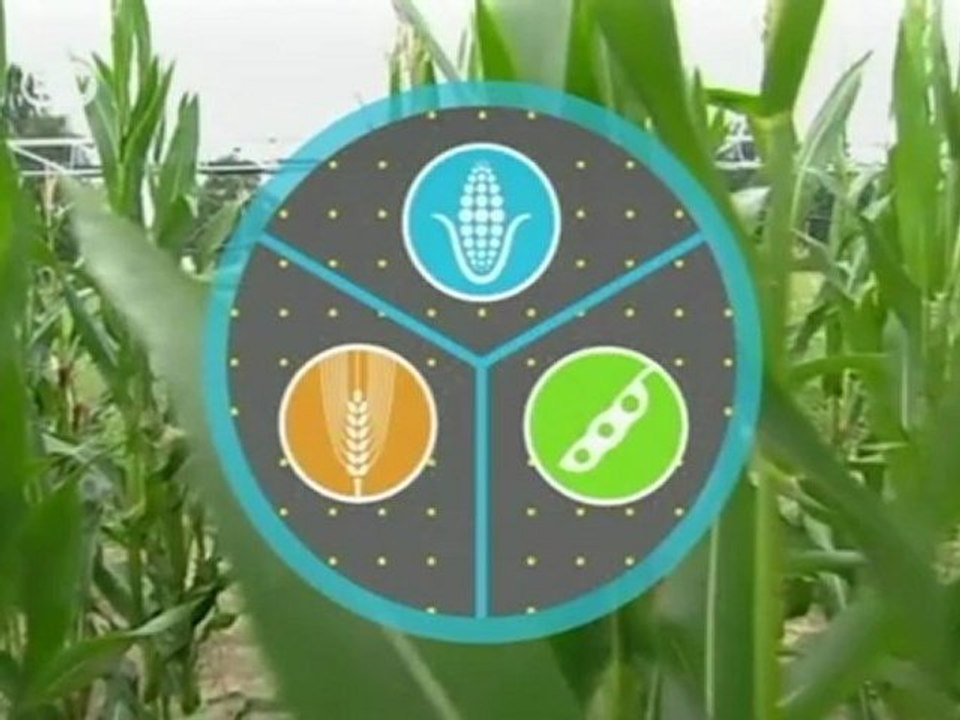 What can farmers do to protect the environment? | Global 3000