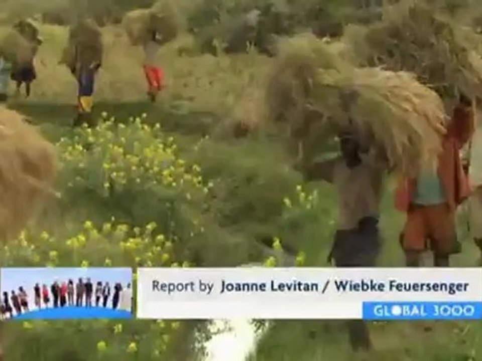 Madagascar - Alternative rice farming | Global 3000