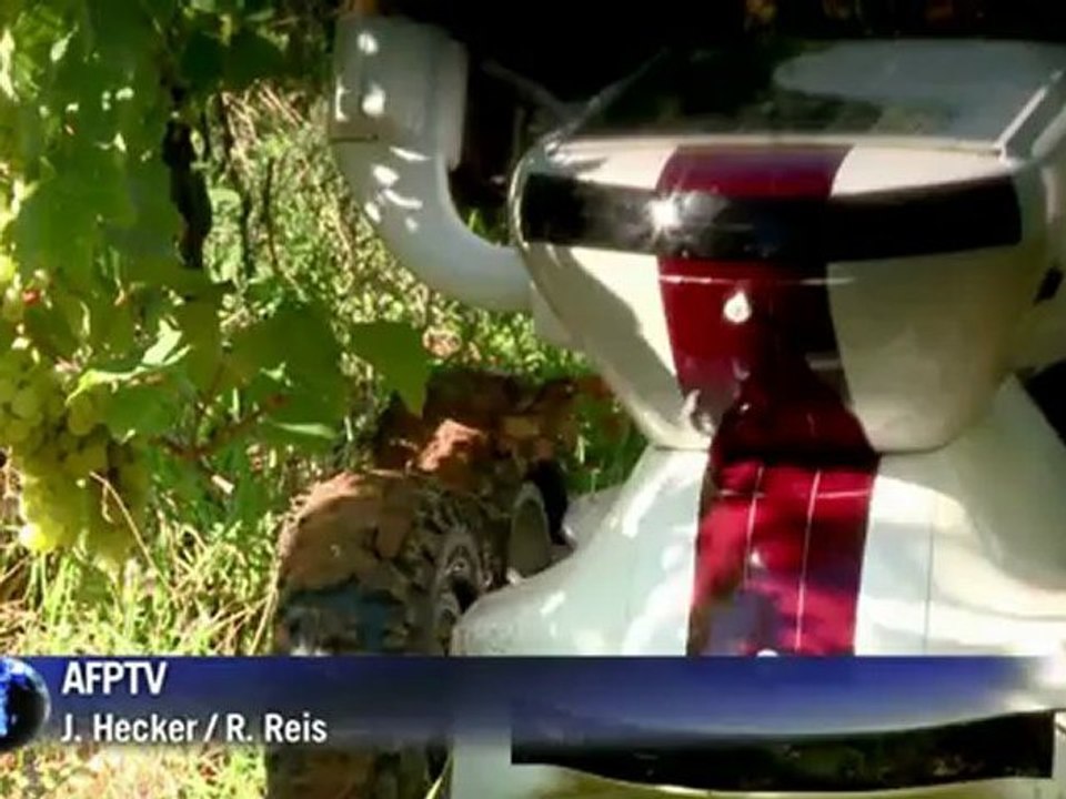 Roboter macht weinlese in burgund