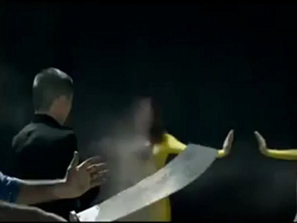 EU 2012