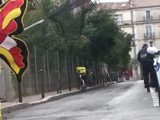 Butterfly (Rémi GAILLARD)