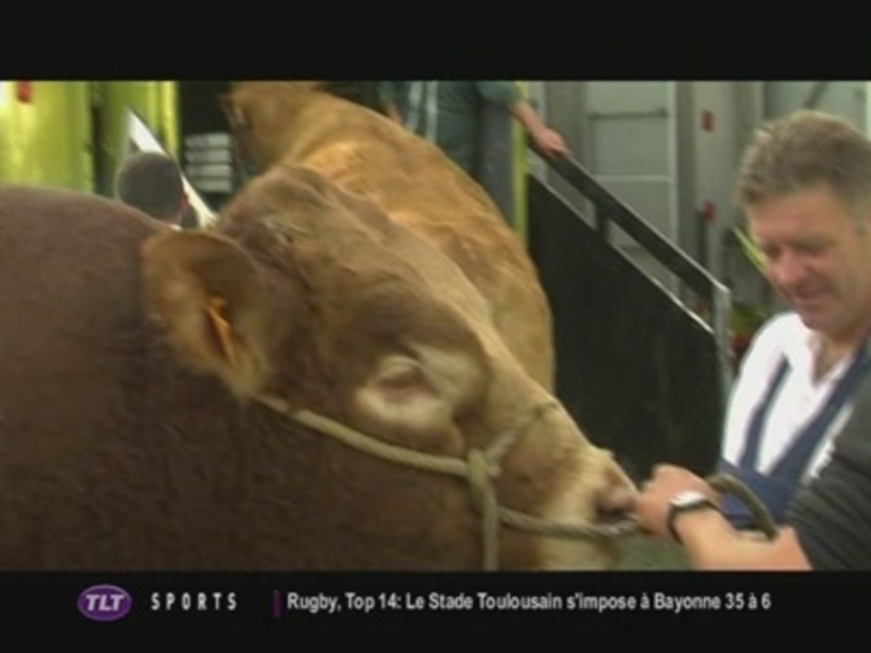 Le savoir-faire Pyrénéennes en fête (Saint Gaudens)