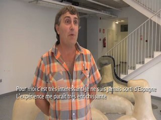 Présentation Pablo Artiste Atelier Environnement/Phoques/Résine/Avilès