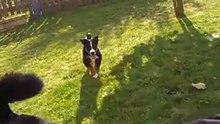 Arko et Kip premier jeu