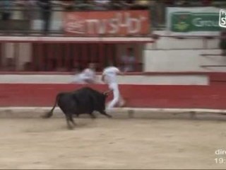 Montfrin : Un coup de corne sur le tourneur Jean Henry