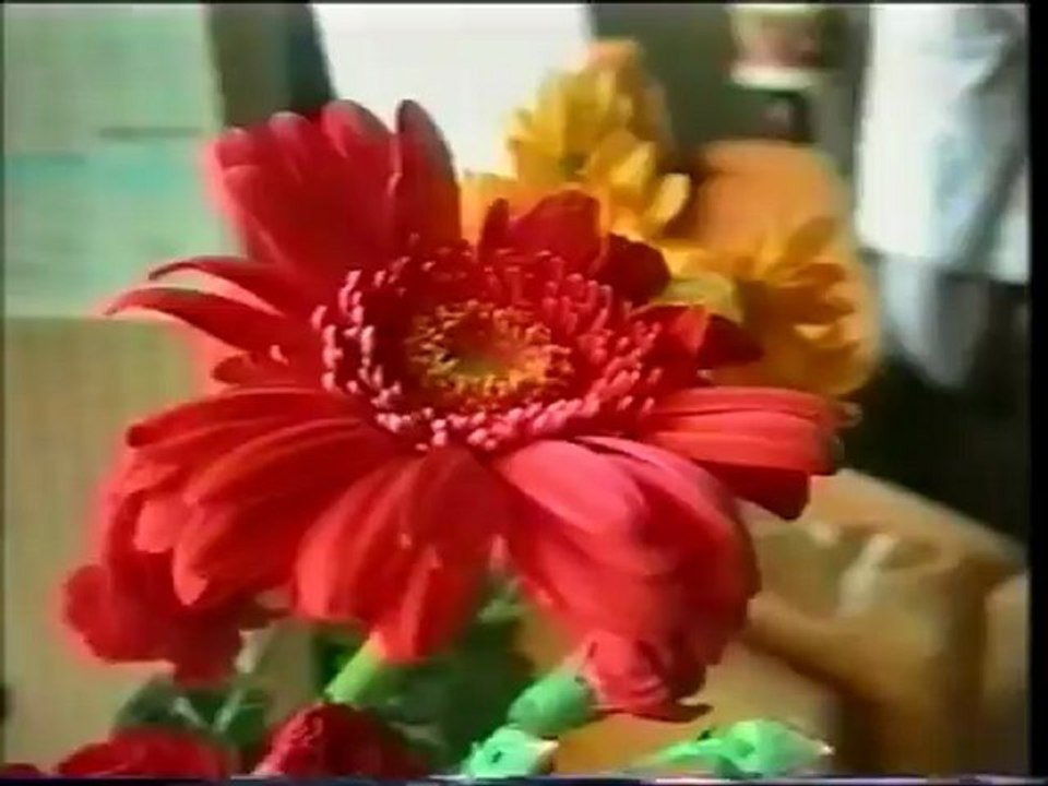 deux vies - une vie Volet 2 sur 4