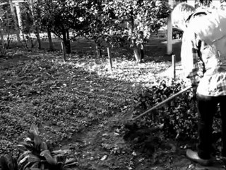 Het recht van de sterkste (volledig)