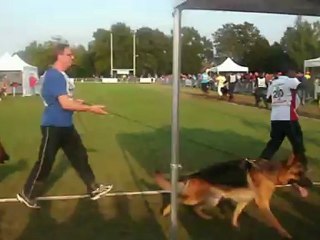 2012_09_23  BOURG EN BRESSE  NE 092