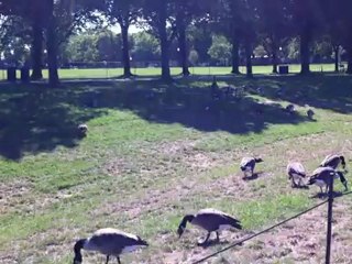 Reflecting Pool, Washington D.C.