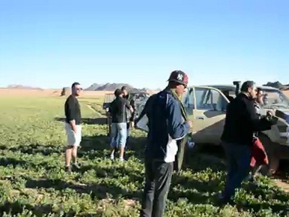 Sahara algérien (Algerian desert ) Djanet