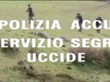 La Polizia Accusa : Il Servizio Segreto Uccide - Sergio Martino