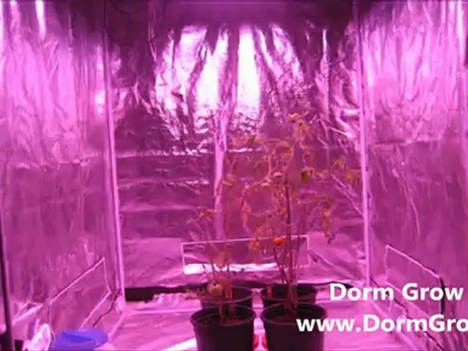 Dorm Grow LED Growlight Review