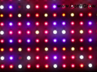 Dorm Grow 450 Watt LED Grow Light Review