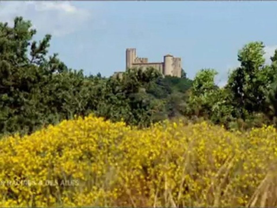 Des racines La Loire (Part 1)