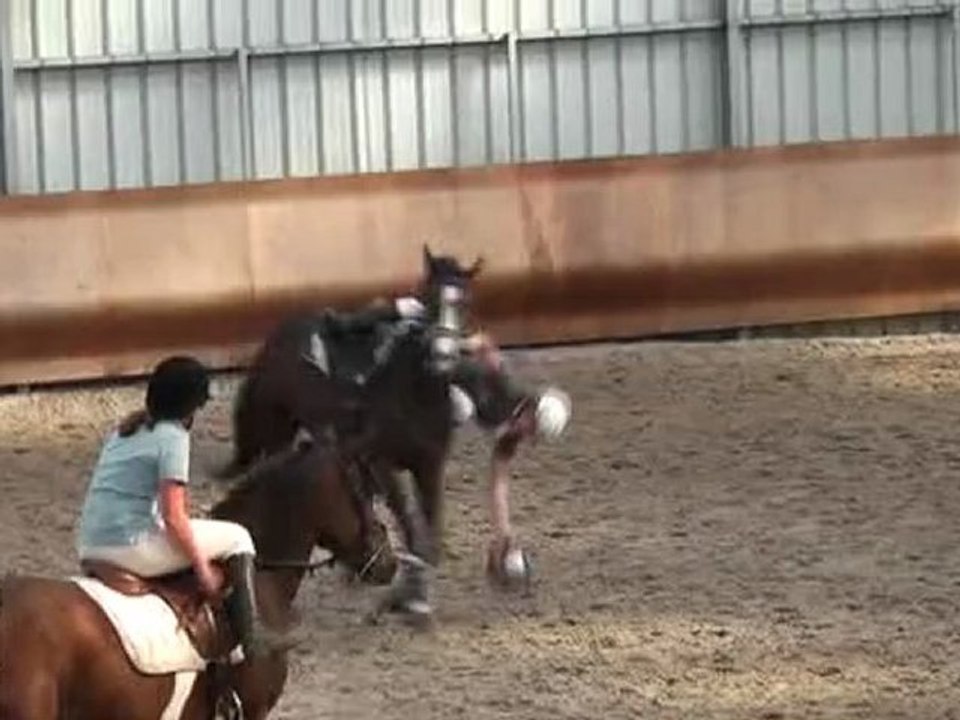 horseball1