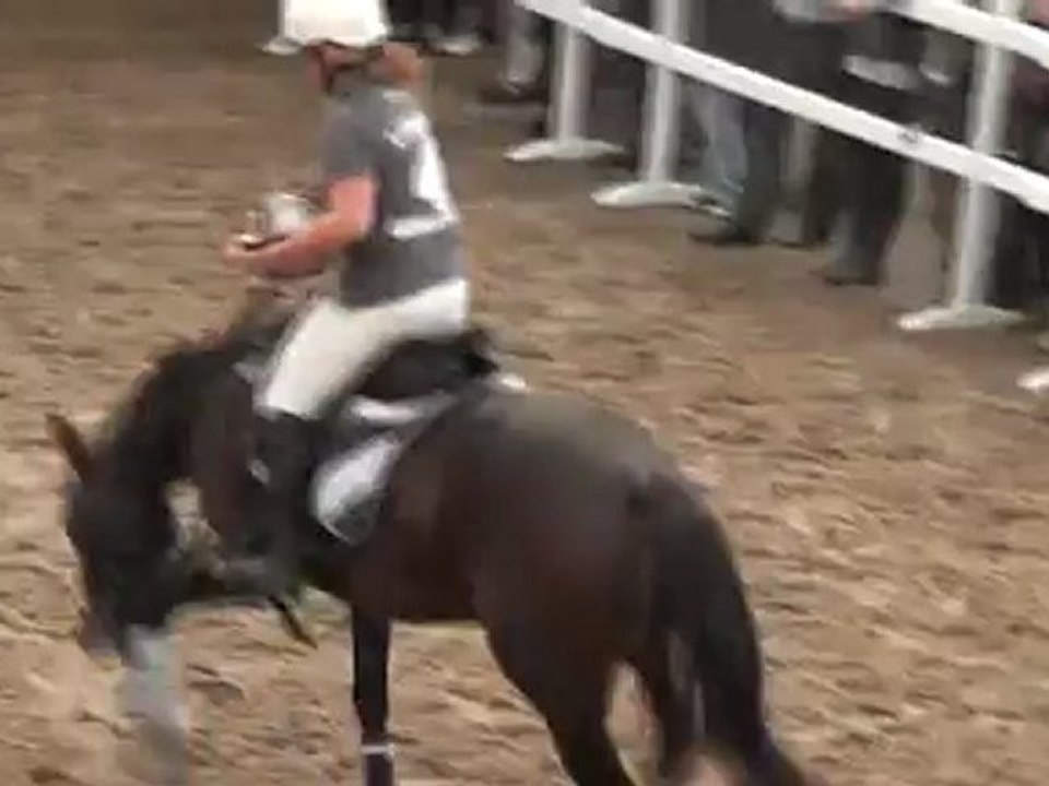 horseball